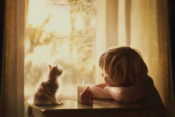 Dreng sidder sammen med killing og kigger ud af vindue