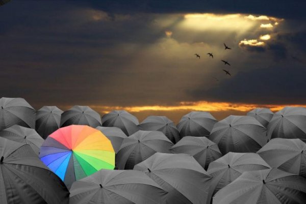 En enkelt regnbuefarvet paraply blandt mange sorte paraplyer