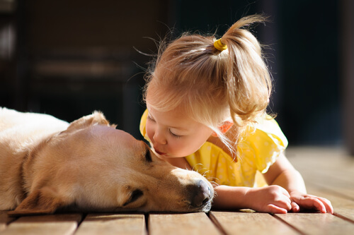 Et venligt barn kysser en hund