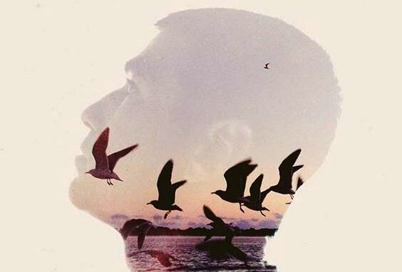 Silhue af mands hoved med fugle og hav