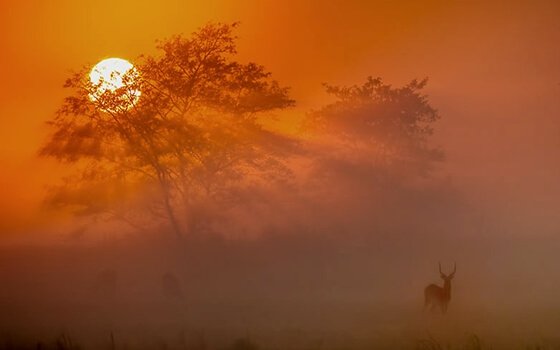 Solnedgang på savanne fylder din sjæl med ro