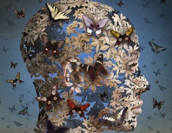 Persons hoved lavet af sommerfugle