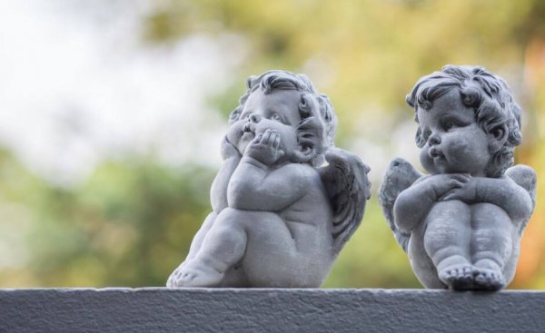 To engle i sten sidder på en mur