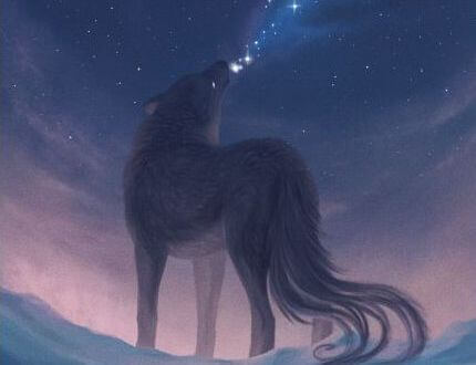 Ulv hyler i natten mod stjernehimmel