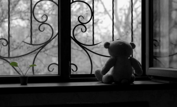 Bamse i vindue