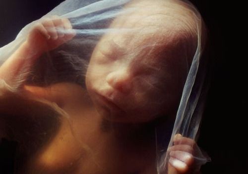 Fortæl mig om hvordan jeg blev født