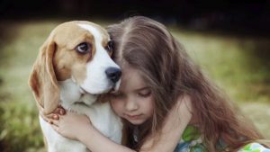 Den helende kraft i empati fra en hund