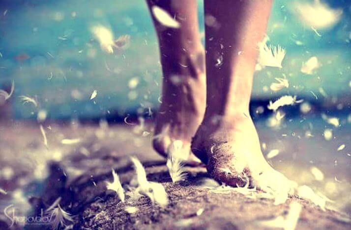 Fødder på vej med fjer