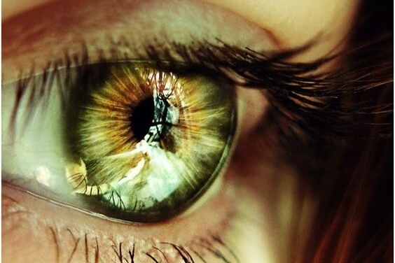 Grønt øje afspejler en sjette sans