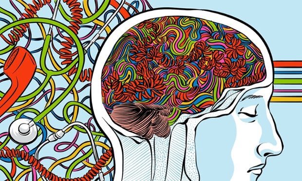 Persons hjerne illustreret med farver