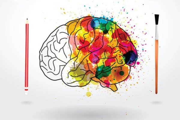 Hjerne med maling viser farvernes psykologi