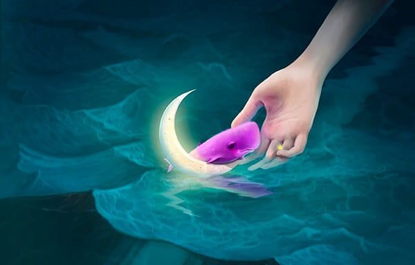 Spillet "pink whale"