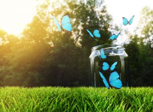 Lykkeflaske-teknikken. Hvordan man gør det, og hvorfor den fungerer