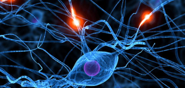 Neuroner illustrerer, hvordan vi kan blive syge af vrede