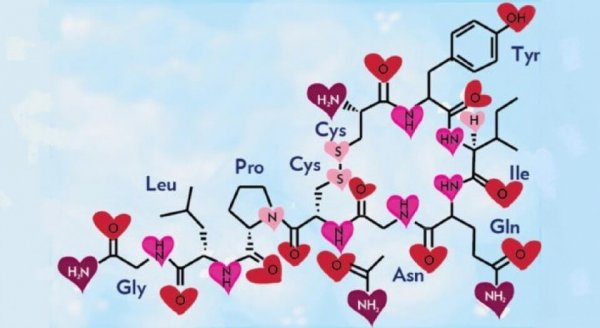Kærlighedens kemi illustreret