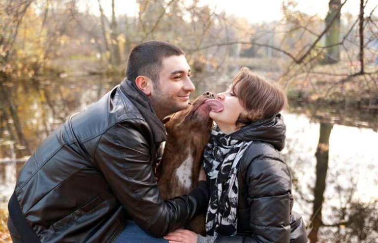 Per bliver slikket i ansigt at hund