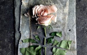 Passiv vold: dybe sår, der ser overfladiske ud