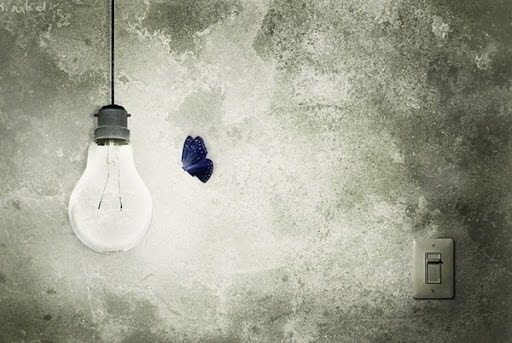 Sommerfugl flyver mod lys