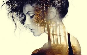 Hvad sker der efter 30 minutters stilhed og ensomhed?