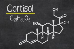 Kortisol, hormonet forbundet med stress