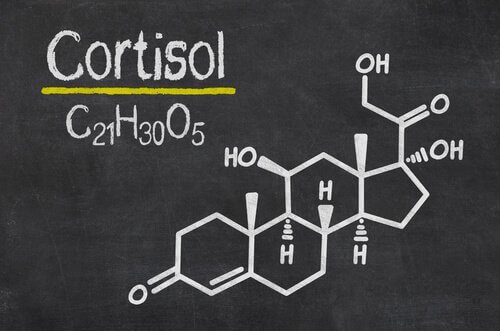 Kortisol, hormonet forbundet med stress
