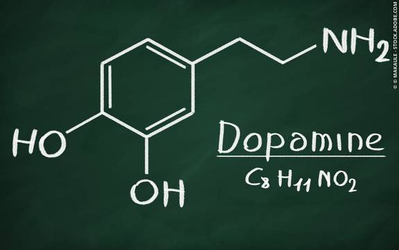 Hvad er dopamin og hvad gør det?