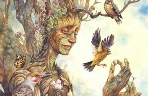 Dette kan træer lære os om at finde lykke