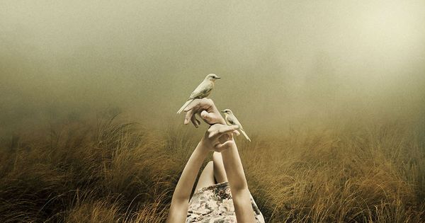 Kvinde ligger på mark med to fugle siddende på hænderne
