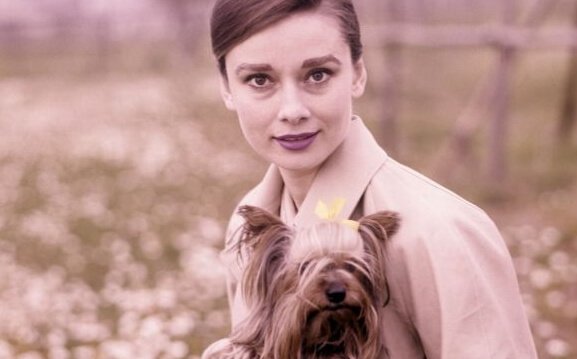 Audrey Hepburn med hund
