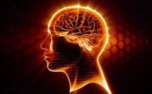 Omega-3 beskytter vores neuroner