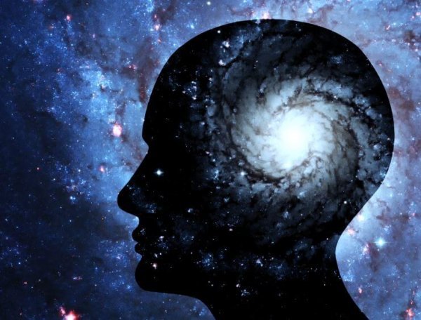 Hjerne som univers