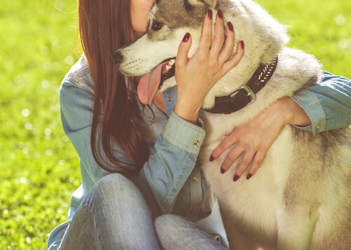 Kvinde krammer hund for at håndtere dårlige følelser
