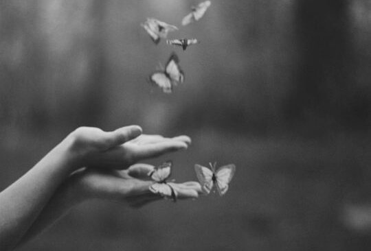 Sommerfugle i hænder symboliserer sommerfugleeffekten af problemer