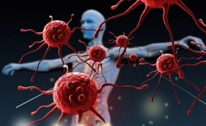 Hvordan kan du styrke dit immunsystem?