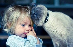 Katteterapi: 5 fordele ved at leve med katte