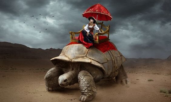 Mand på kæmpe skildpadde