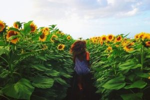 5 flygtige øjeblikke, ingen mennesker glemmer