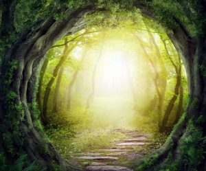 Alle har et tilflugtssted, hvor de kan gemme sig