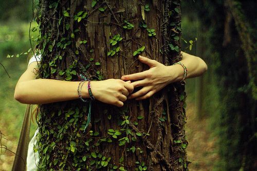 Kvinde krammer træ for at vise taknemmelighed for natur