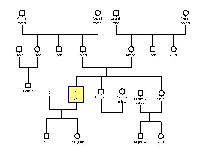 Genogram