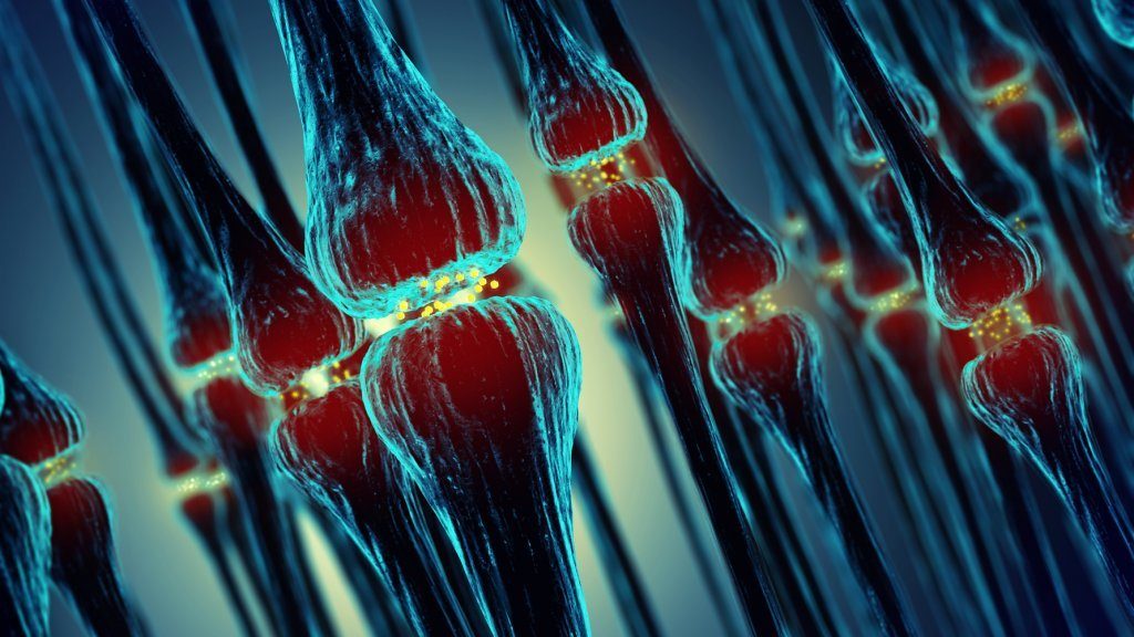 Nærbillede af celler