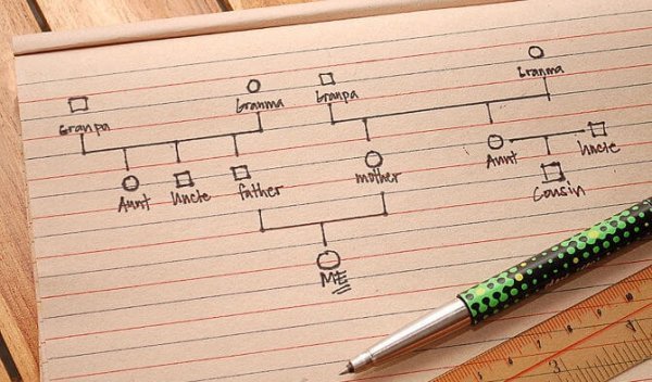 En trinvis guide til at lave et genogram