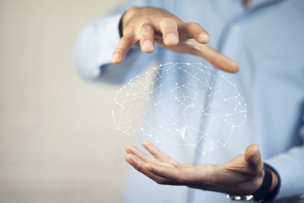 Lær om hjernen gennem neurovidenskab