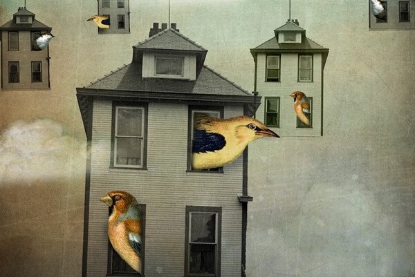 Fugle i hus føler en kollektiv narcissisme