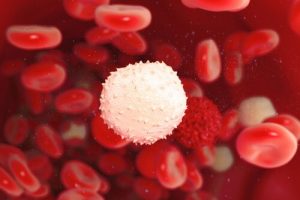 Hvordan Kan Du Styrke Dit Immunsystem Udforsk Sindet