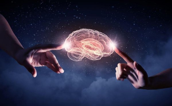 To hænder, der får hjerne til at lyse op, illustrerer forbindelsens psykologi