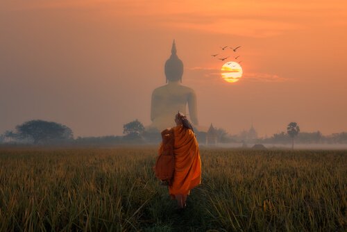 Buddhistisk psykologi til at håndtere smertefulde følelser