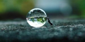 Udholdenhed er næring til drømme