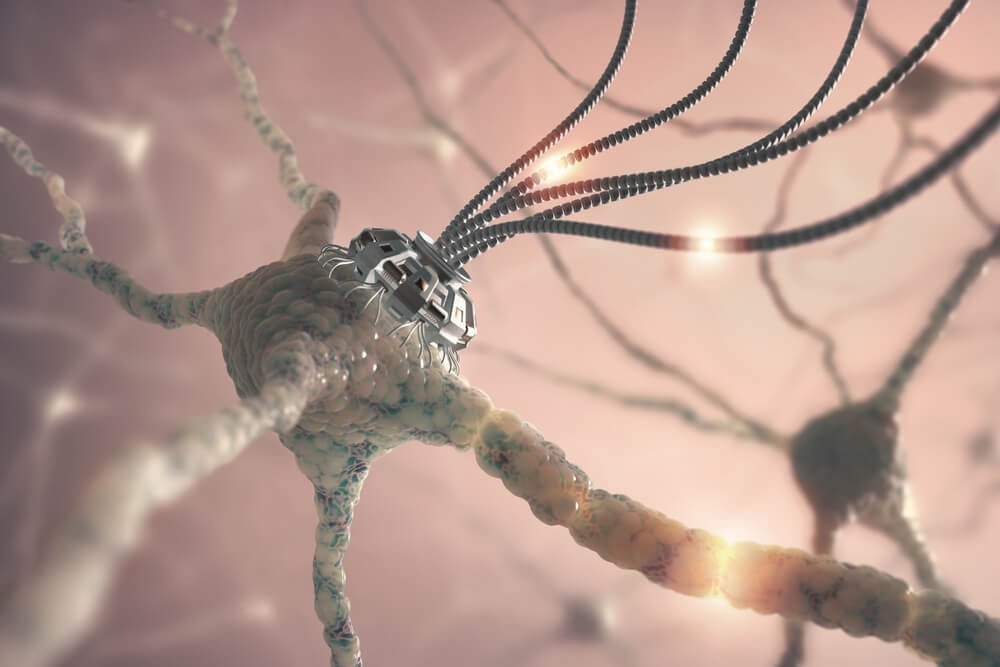 Neuroner er en del af neurovidenskab