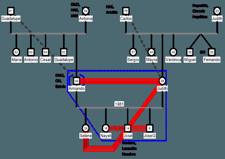 Genogram på computer